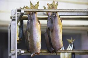 ahumado pescado en el industrial producción de un pescado fábrica. foto