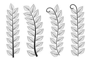 Hand drawn doodle olive tree branches autumn leaves, vintage Laurel Wreath leafs, flora symbol decorative stem, Botanical branch and leaves, design element forest and plant, vector illustration