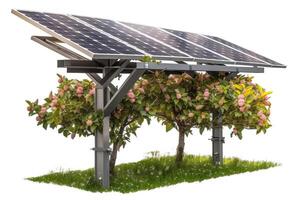 Solar panel in fruit trees on white background, isolate. Clean technologies of future. . photo