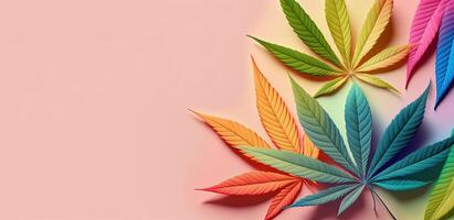 Colorful cannabis leaves on pink pastel background. photo