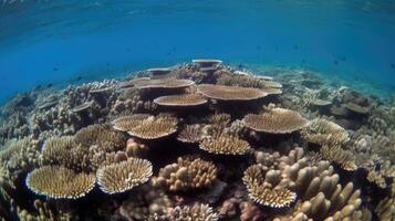 un coral arrecife con escuelas de pez. generativo ai foto