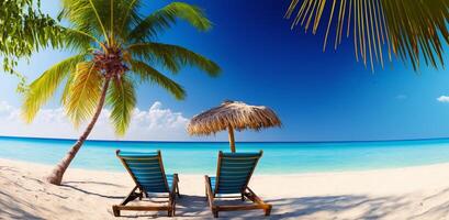 The beach with palm tree and chair with photo