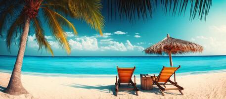 The beach with palm tree and chair with photo