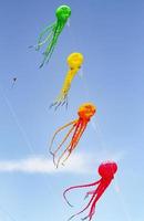 Blue sky with colorful kites in the shape of marine animal photo