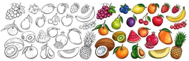 Fruta y bayas íconos vector
