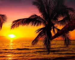 Beautiful sunset over the sea with palm tree on the tropical beach background for travel photo