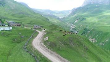 Aerial View of Grazing Cows in the Green Mountainside video