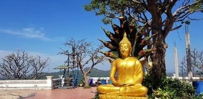 Golden Buddha statue with green tree and blue sky background at Thai temple. Culture, Religion and Art object concept photo