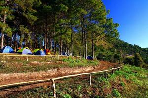 Many people travel to camping, relaxing and seeing beautiful pine tree and fresh air in winter at Doi Ang Khang, Chiang Mai, Thailand. Activity, Tourist travel, Landmark and Beauty of Nature photo