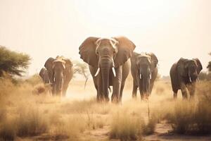 un manada de elefantes camina en el día de África en contra el fondo de un polvoriento paisaje de naturaleza. ai generado. foto