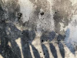 Leaves shadow background on concrete wall texture, leaves tree branches shade with sunlight photo