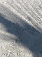 Leaves shadow background on concrete wall texture, leaves tree branches shade with sunlight photo