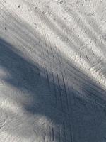 Leaves shadow background on concrete wall texture, leaves tree branches shade with sunlight photo