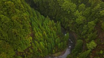 cascata das lombadas en sao miguel, el azores por zumbido 5 5 video