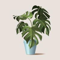 3d illustration of tropical potted plant, isolated on light nude background, element for summer season and vacation vector
