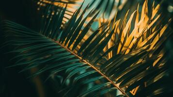 Palms in Detail, A Close-up of Lush Green Foliage. photo