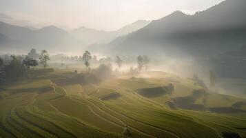 Majestic Mountains and Misty Paddy Fields. photo