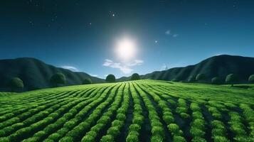 A Breathtaking View of Moonlit Tea Fields Against the Majestic Backdrop of the Starry Night Sky. photo