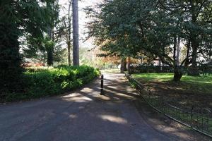 Beautiful View of Trees and Branches at Local Public Park of Luton Town of England photo