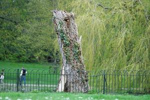 Beautiful Low Angle View of Wardown Public Park of Luton England Great Britain. Image was Captured on 07-April-2023 photo