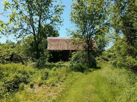 old dilapidated wooden barn structure with tall grass photo