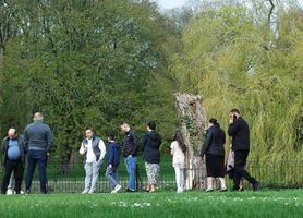 Beautiful Low Angle View of Wardown Public Park of Luton England Great Britain. Image was Captured on 07-April-2023 photo