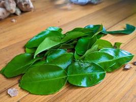 A close up of citrus hystrix or kaffir lime leaves. Herbs for cooking photo