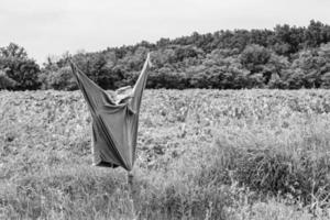 Scary scarecrow in garden discourages hungry birds photo