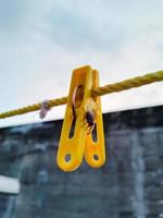 Flies hanging on a clothespin on a string. Blurred and bokeh background photo