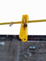 Flies hanging on a clothespin on a string. Blurred and bokeh background photo