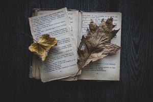 damaged book lying on a dark background with an autumn leaf photo