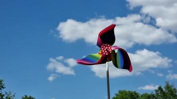 kleurrijk pinwheel in de veld- Aan een zonnig zomer dag. video