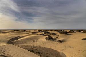 summer desert landscape on a warm sunny day from Maspalomas dunes on the Spanish island of Gran Canaria photo