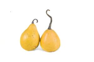 decorative small autumn pumpkins on a white isolated background photo