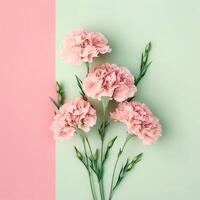 pink carnation flowers. Mother's day, Valentine's Day background concept. . photo