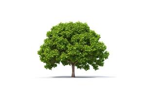 verde árbol aislado en blanco antecedentes. ai generado foto