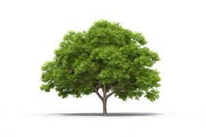 verde árbol aislado en blanco antecedentes. ai generado foto