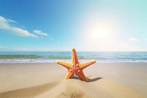 a starfish on a sandy beach with the ocean in the background. photo