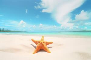 a starfish on a sandy beach with the ocean in the background. photo