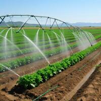 irrigación sistema en funcional riego de agrícola plantas ilustración ai generativo foto