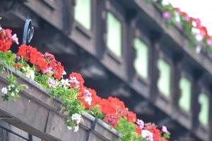 rojo flores en balcón en Austria foto