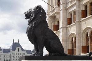 león estatuas, parlamento en budapest, Hungría foto