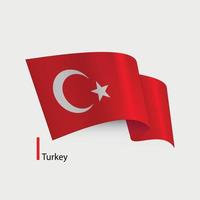 vector bandera de Turquía