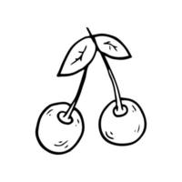 Sweet cherry in line style. Isolated hand drawing berry vector illustration. Doodle simple outline.