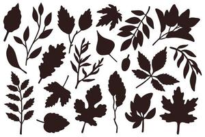 set of simple silhouettes leaves vector