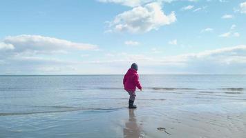 piccolo ragazza in esecuzione nel superficiale acqua nel il spiaggia video