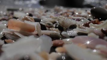 Close up macro video of stones and pebbles getting covered as the tide comes in