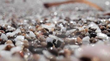 proche en haut macro vidéo de des pierres et galets avoir couvert comme le marée vient dans video