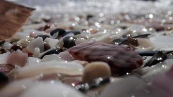 cerca arriba macro vídeo de piedras y guijarros consiguiendo cubierto como el marea viene en video