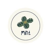 Hand Drawn circle illustrated sticker label spice herb mint vector